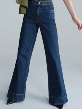 J Crew Wide Leg Denim Trouser Jeans 29